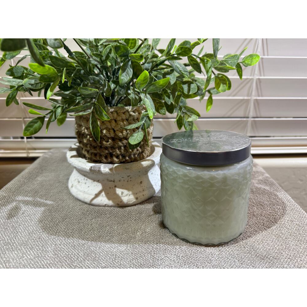 Gold Canyon Candles Med 16oz Icy Evergreen Highly Scented Candle  Hard to Find
